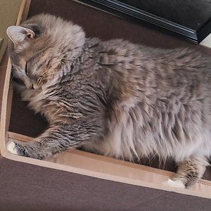 Meet your Posher, Adriana